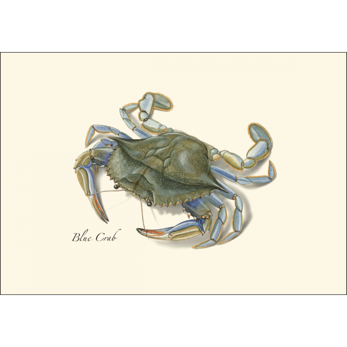 Blue Crab Notecards