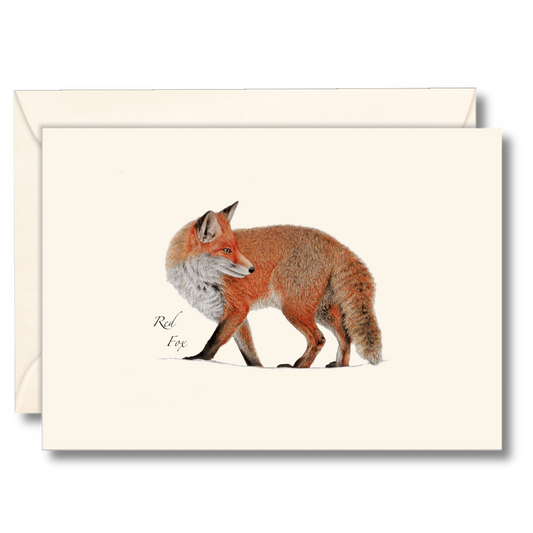 Red Fox Notecards