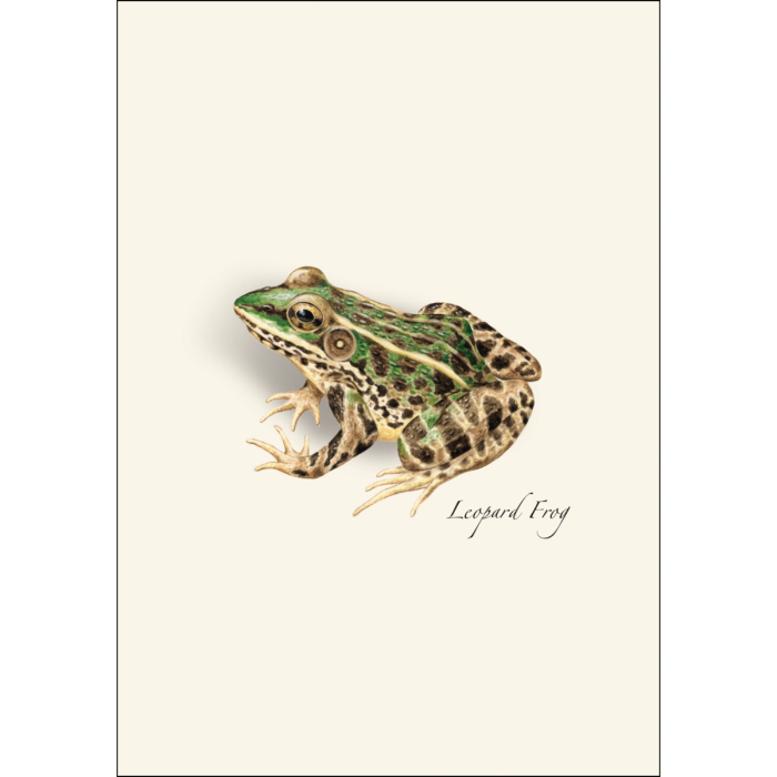 Frog & Toad Notecards