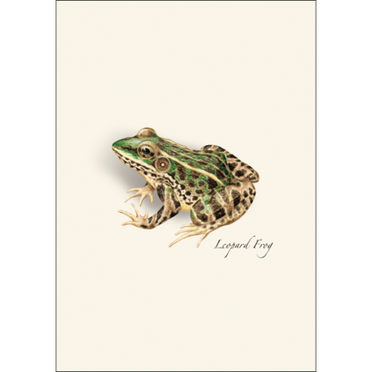 Frog & Toad Notecards