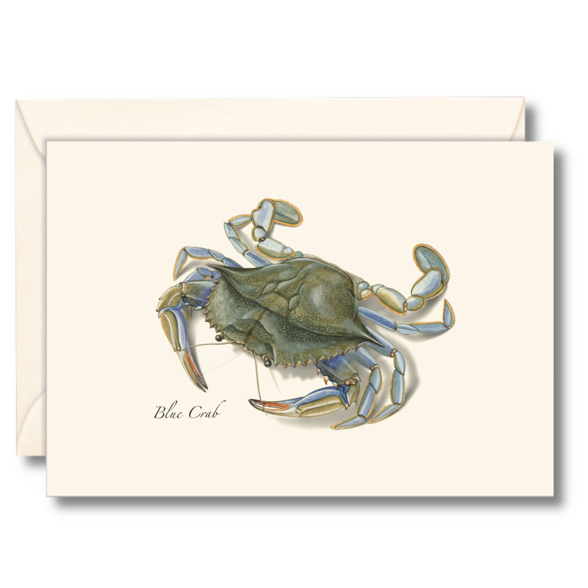 Blue Crab Notecards