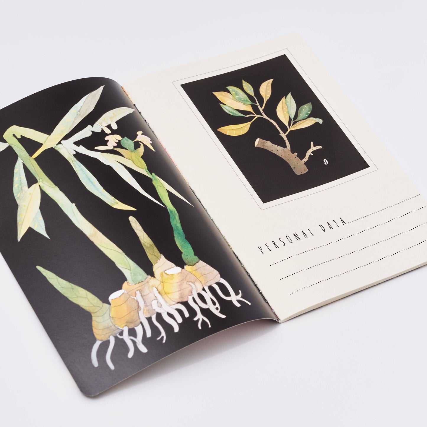 Botany Notebook