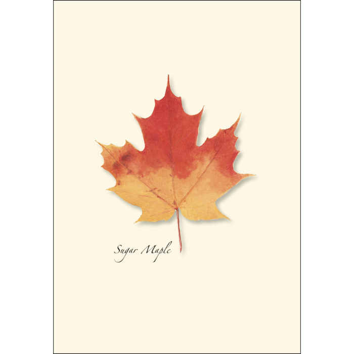 Maple Leaf Notecards