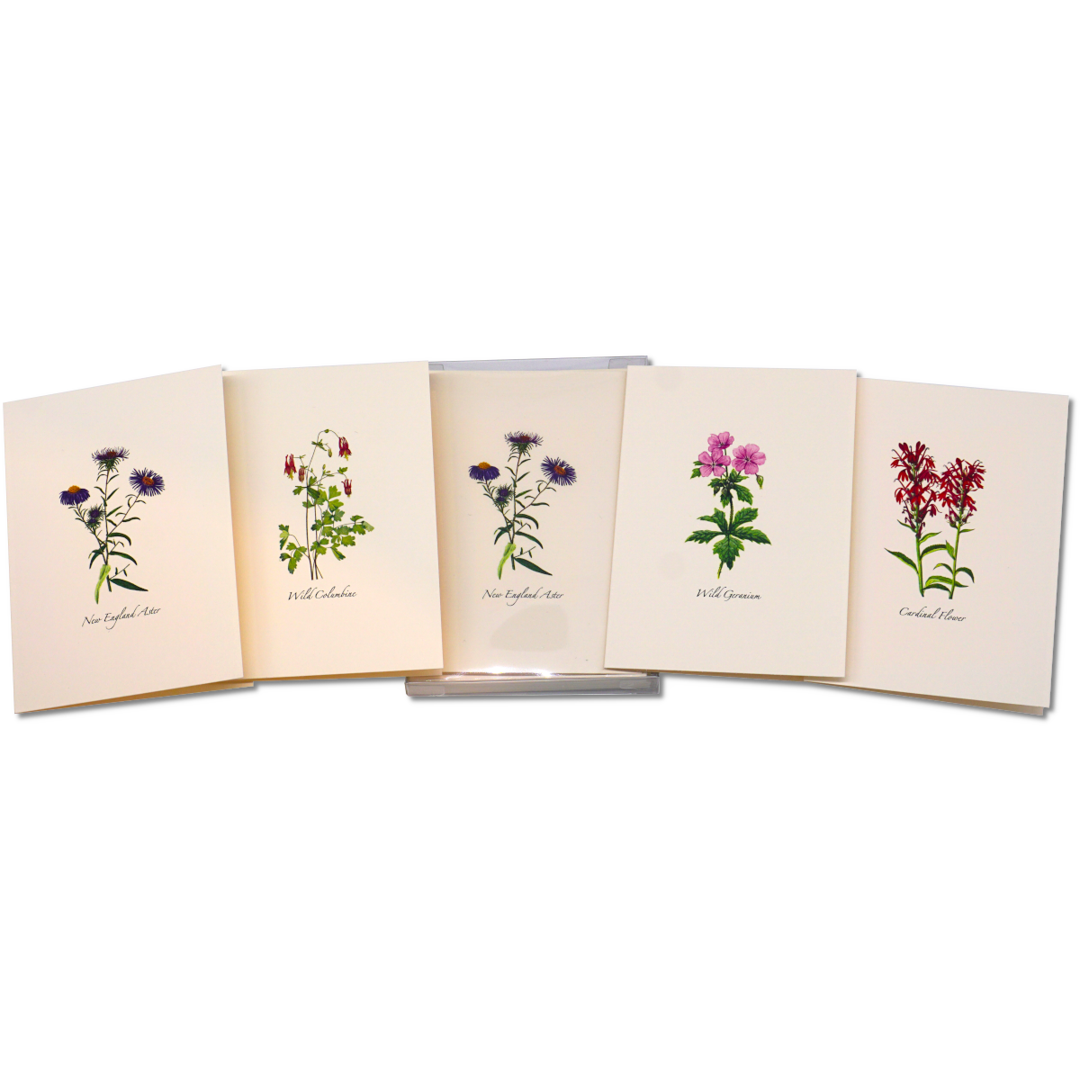 Meadow Wildflower Notecards
