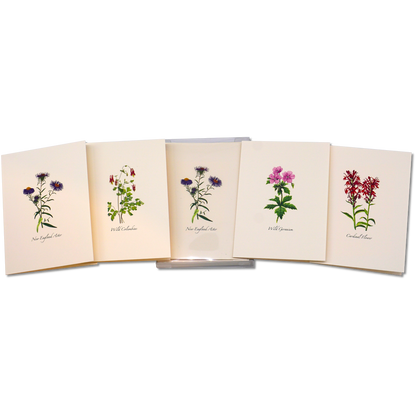 Meadow Wildflower Notecards