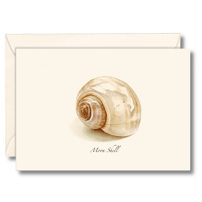 Moon Shell Notecards