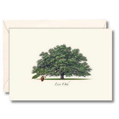 Live Oak Trees Notecards