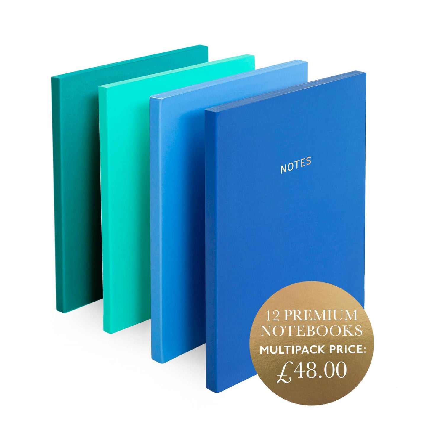 Multipack of 12 Blue Premium Notebooks