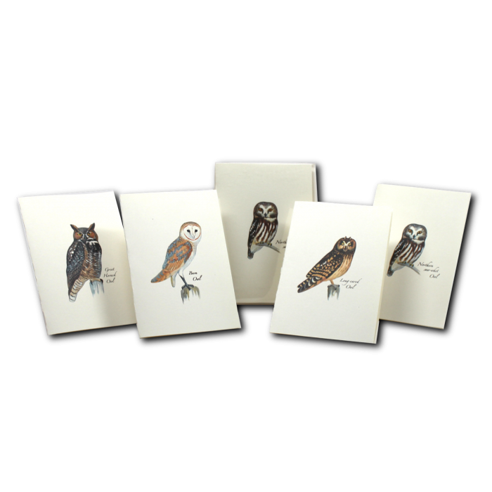 Sibley Owl Notecards Assortment