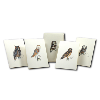 Sibley Owl Notecards Assortment