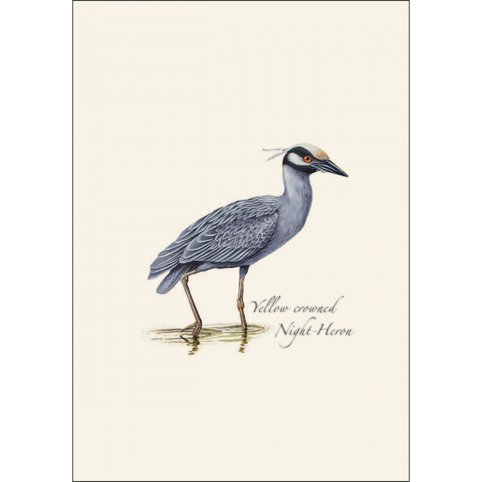 Heron Notecards