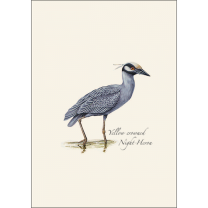 Heron Notecards