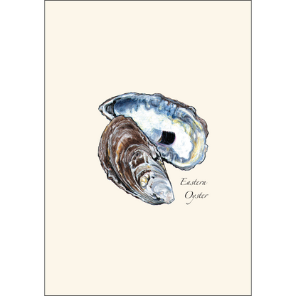 Oyster Notecards