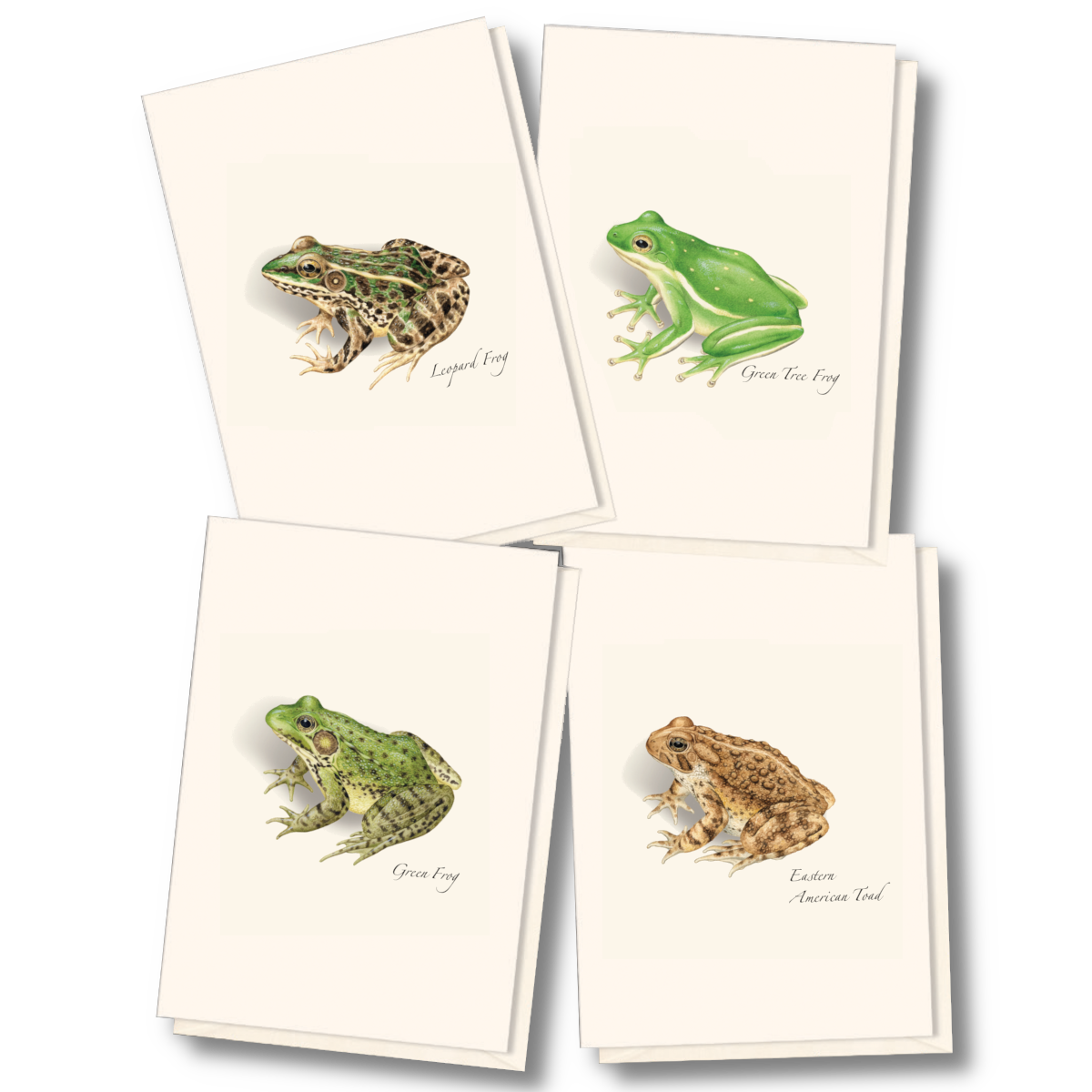 Frog & Toad Notecards