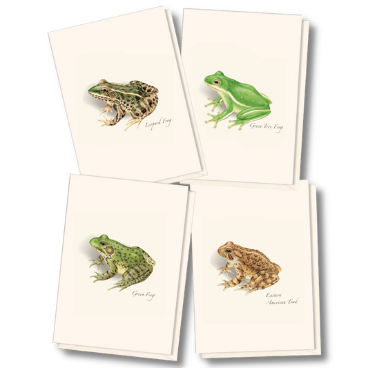 Frog & Toad Notecards