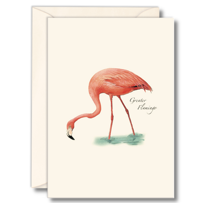 Flamingo Notecards