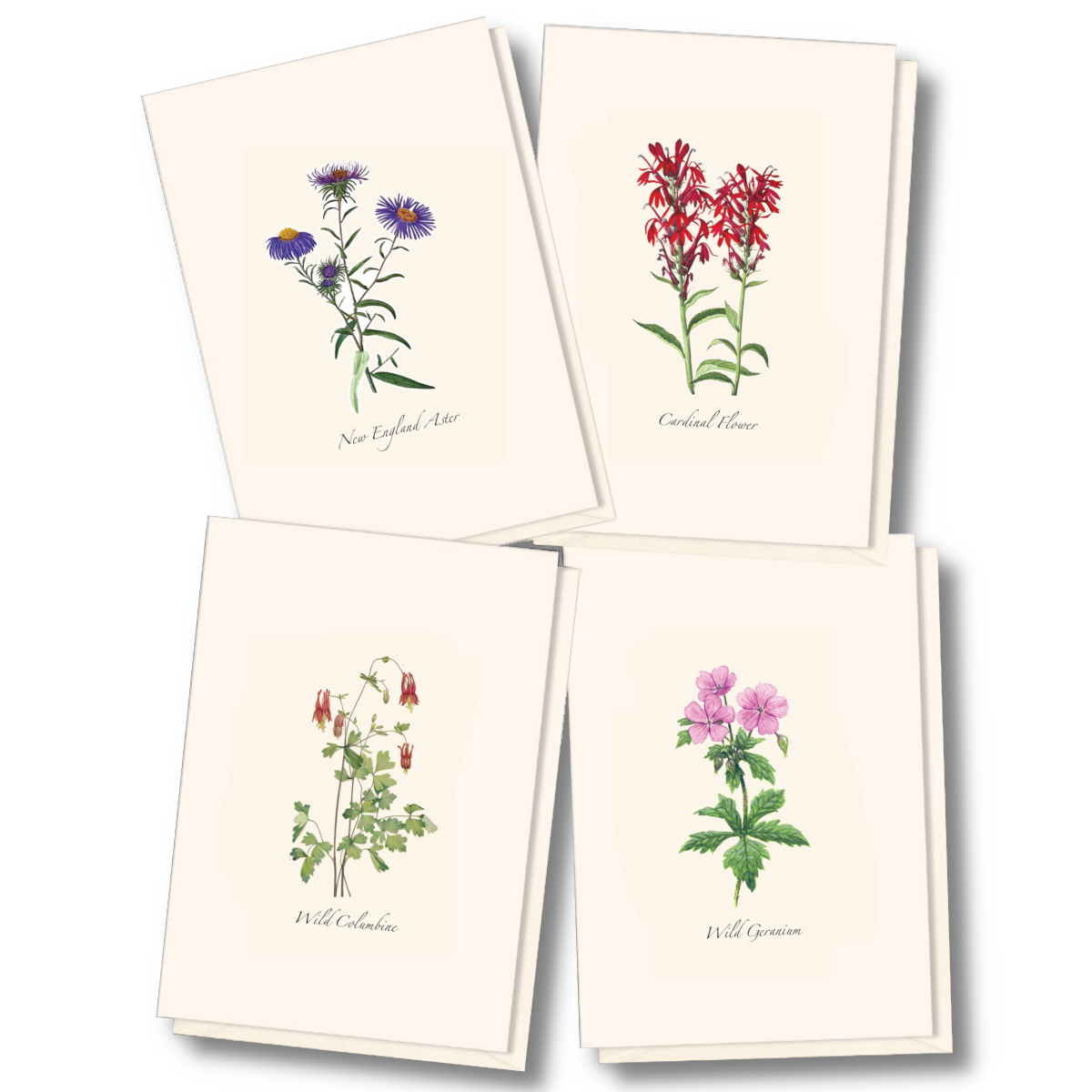 Meadow Wildflower Notecards