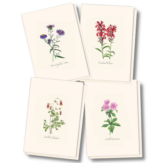 Meadow Wildflower Notecards