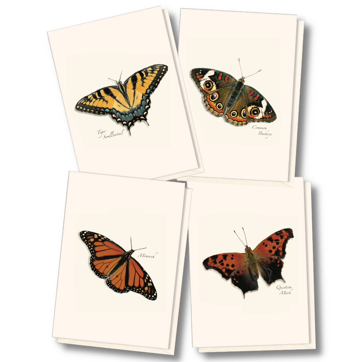 Butterfly Assortment Notecard Set