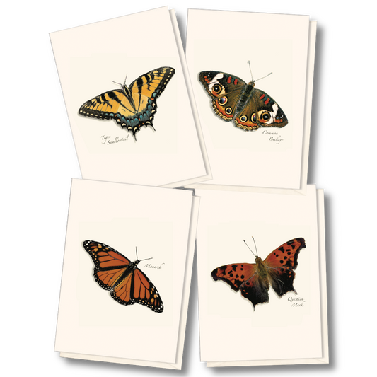 Butterfly Assortment Notecard Set