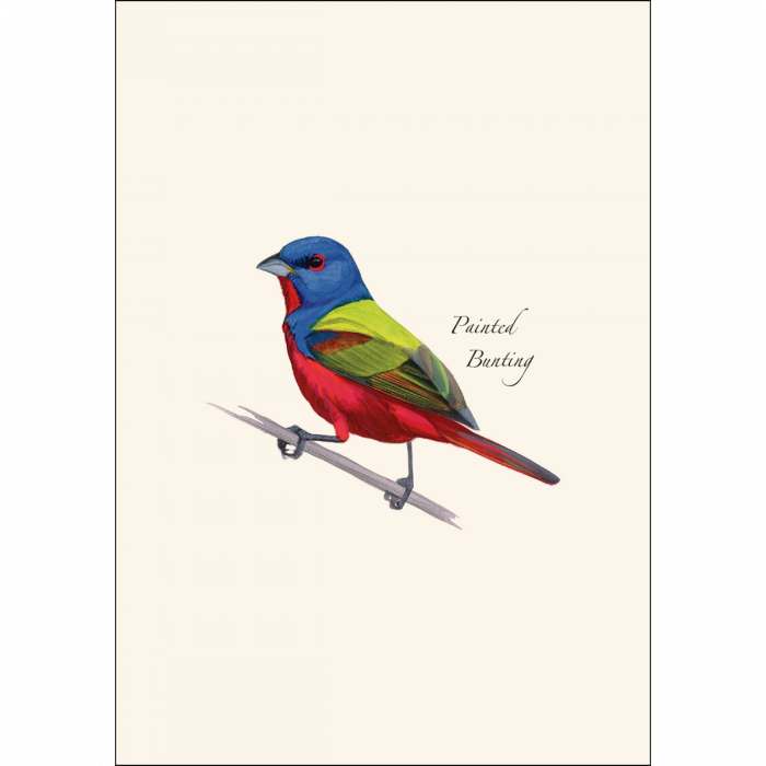 Painted Bunting Notecards