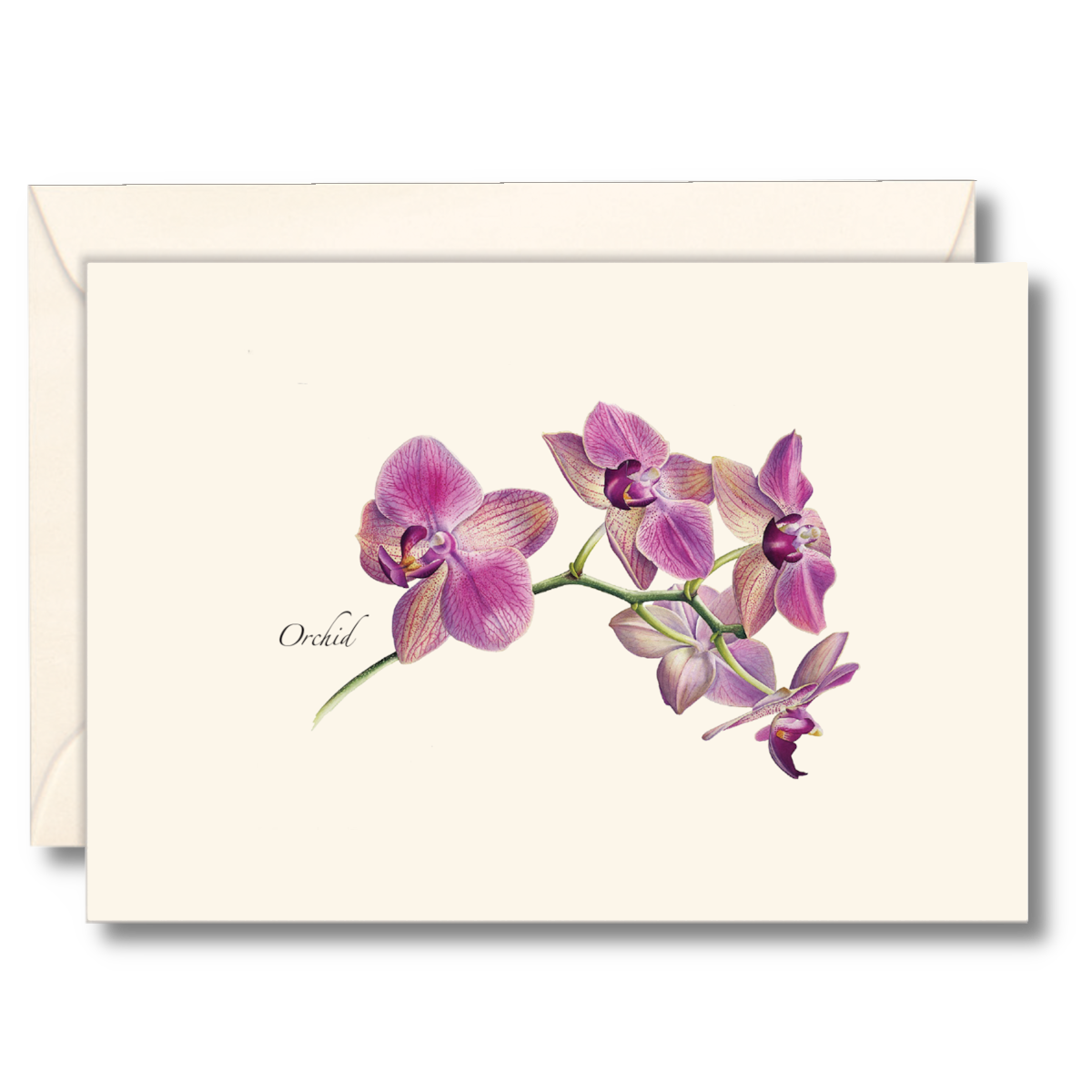Orchid Notecards