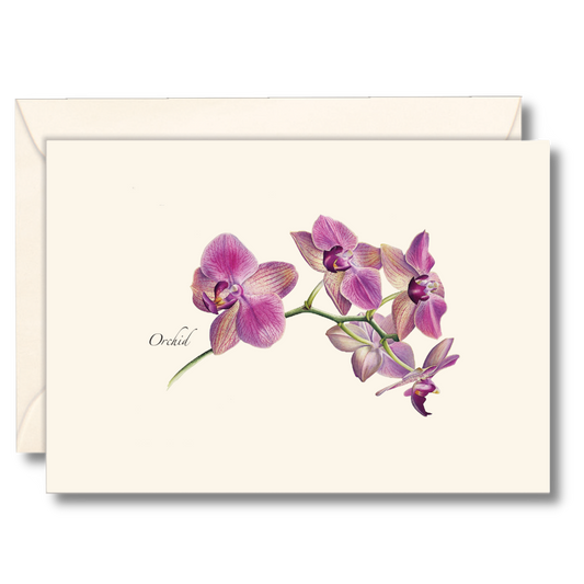 Orchid Notecards
