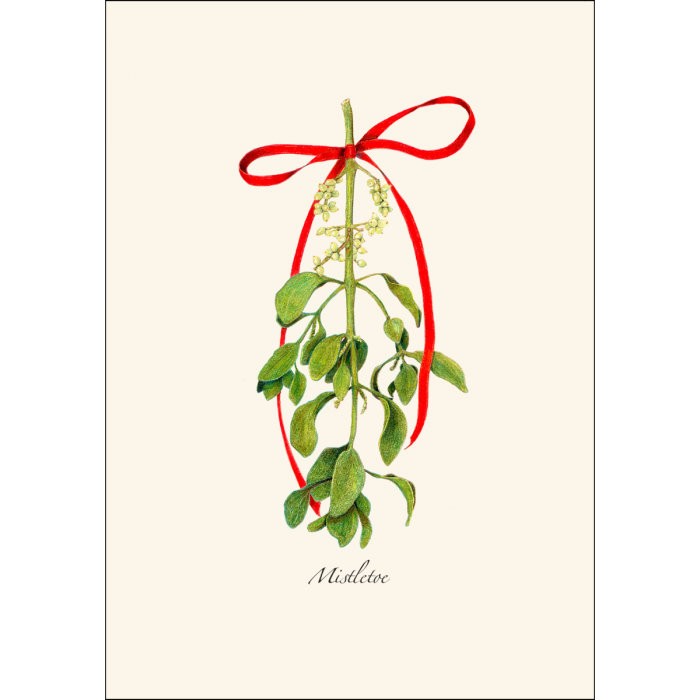 Mistletoe Notecards