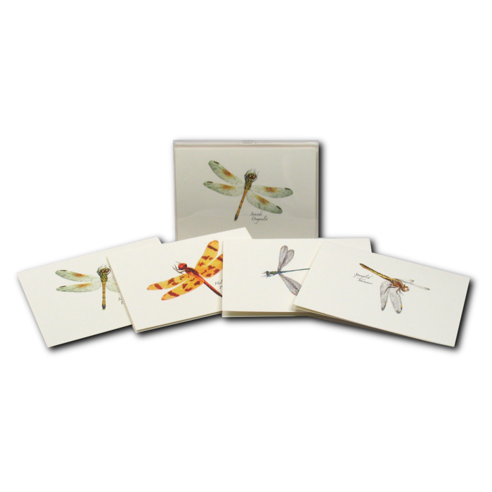 Damselfly & Dragonfly Assortment II Notecard Set