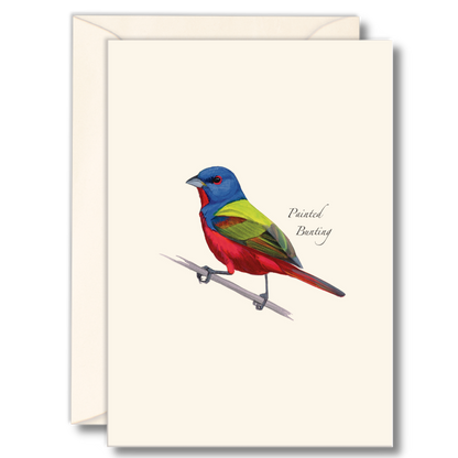 Painted Bunting Notecards