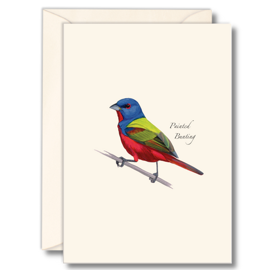 Painted Bunting Notecards