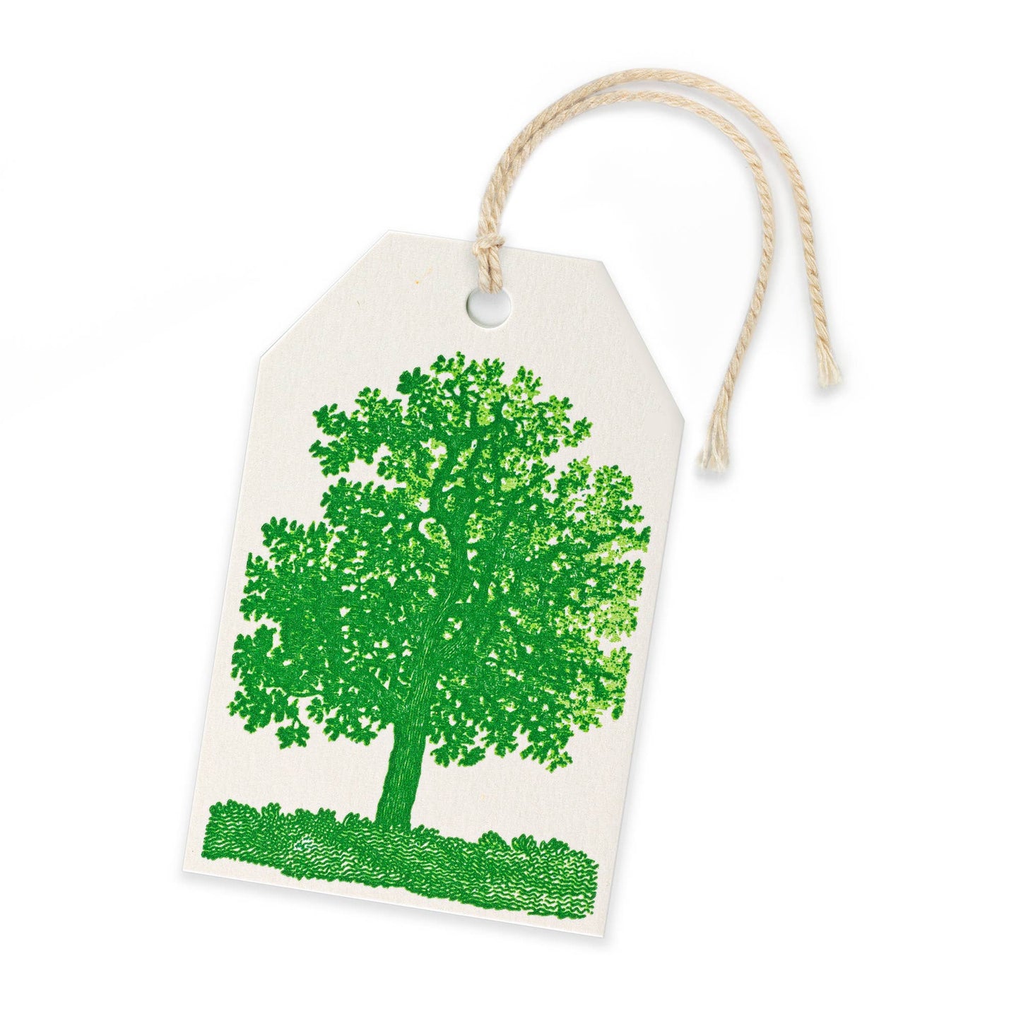 Oak Tree Gift Tags (3-Pack)