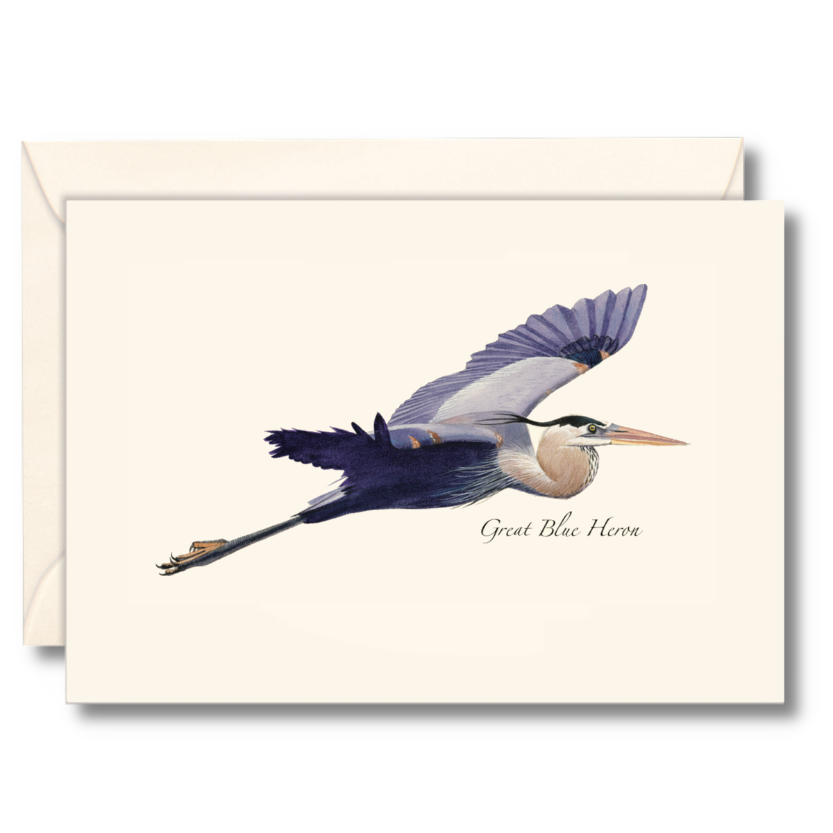 Blue Heron in Flight Notecards