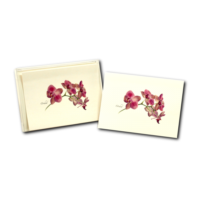 Orchid Notecards