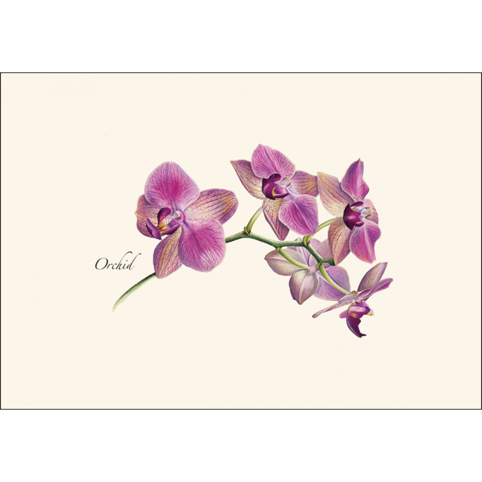 Orchid Notecards