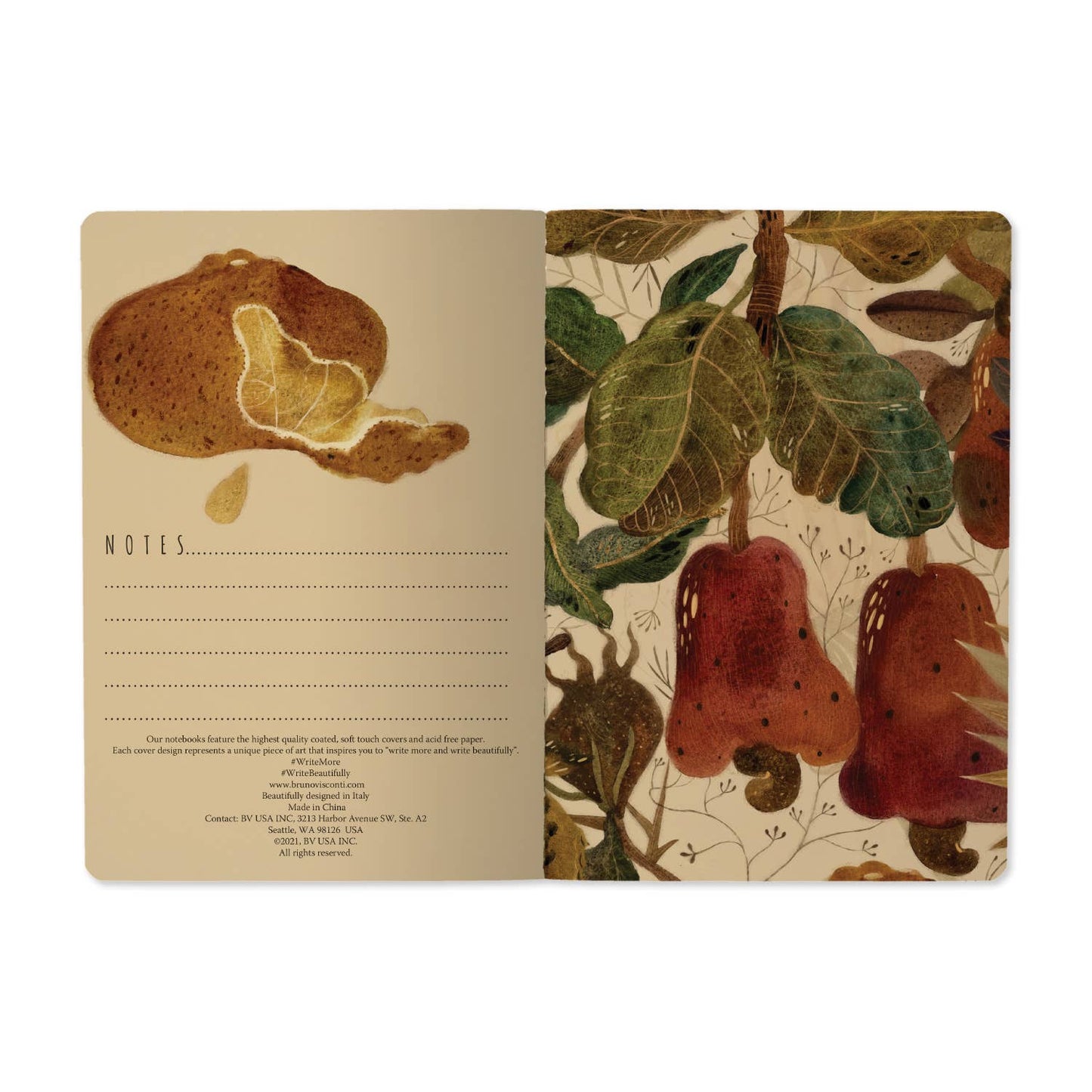 Figs Notebook