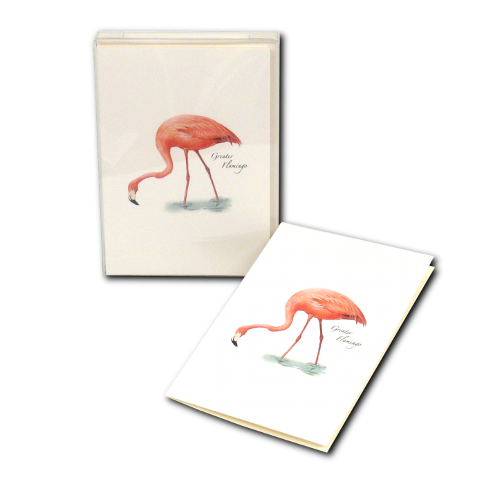 Flamingo Notecards