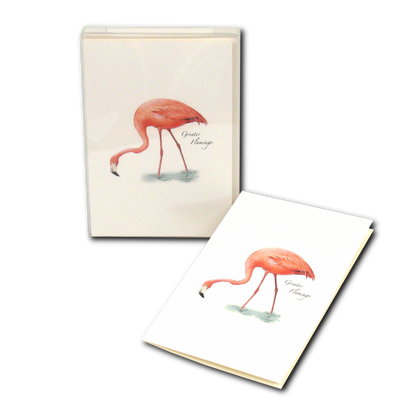 Flamingo Notecards