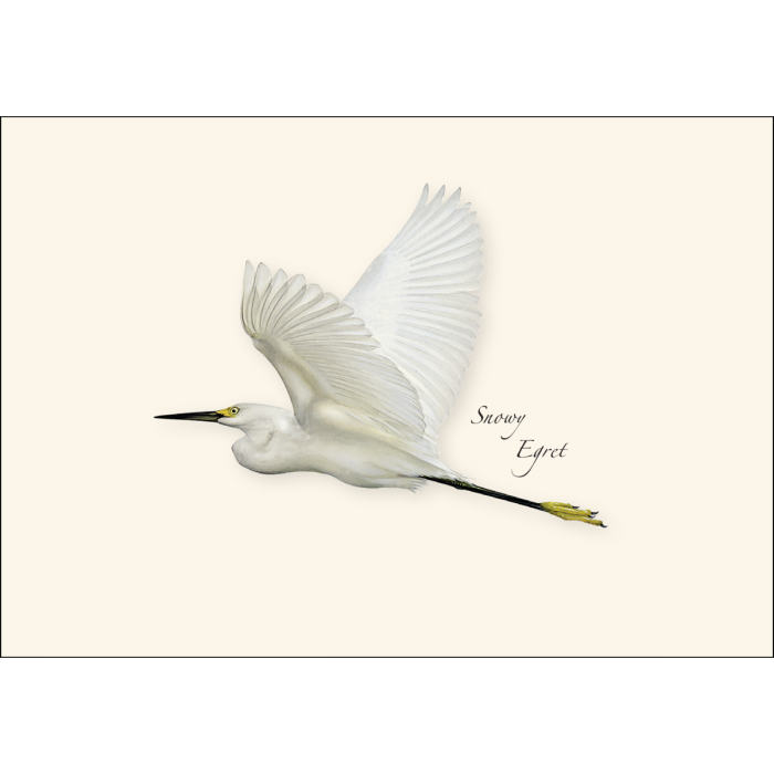 Egret Notecards