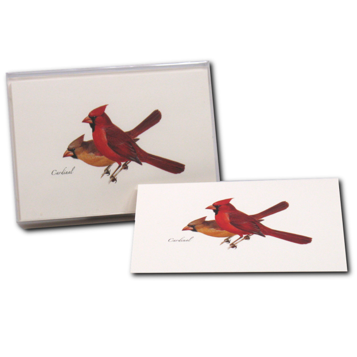 Cardinal Notecard Set, Illustrated by Roger Tory Peterson