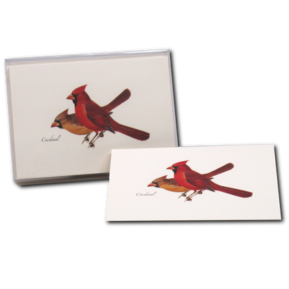 Cardinal Notecard Set, Illustrated by Roger Tory Peterson