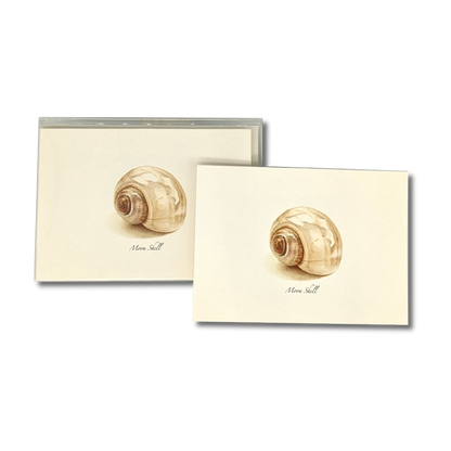 Moon Shell Notecards