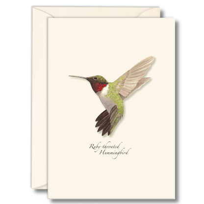 Ruby-throated Hummingbird Notecards