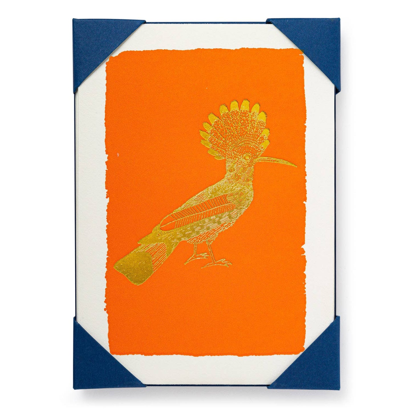 Orange Hoopoe (5-Pack) Notelet Cards