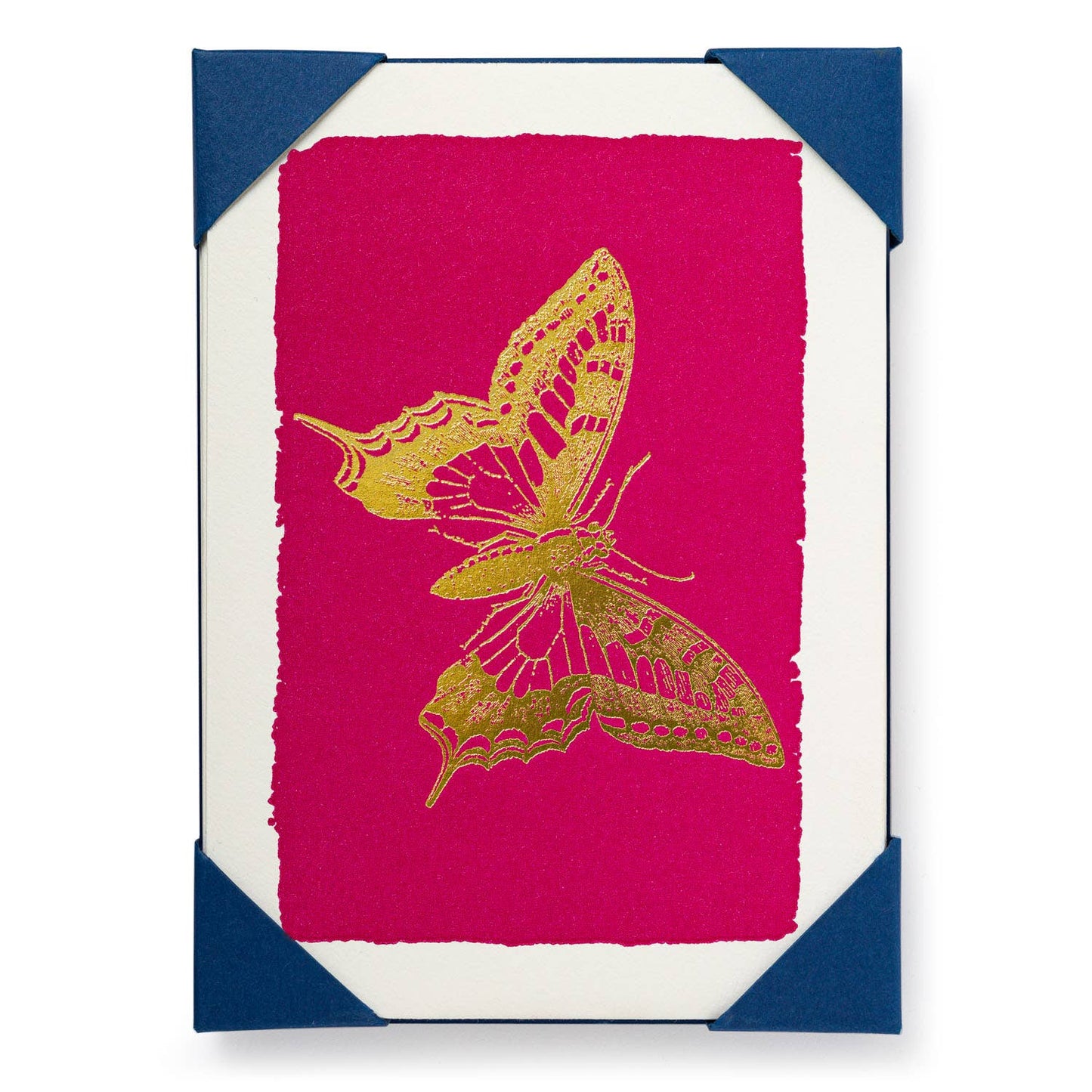 Butterfly (5-Pack) Notelet Cards