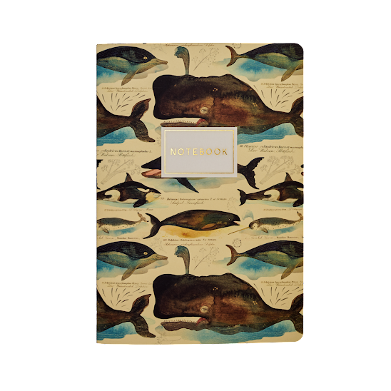 Whales Notebook