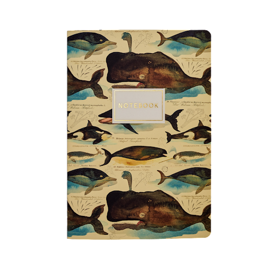 Whales Notebook