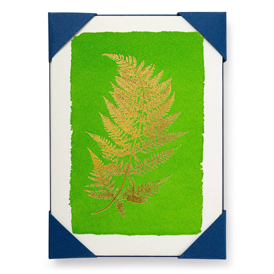 Fern Note Cards - (Pack of 5)