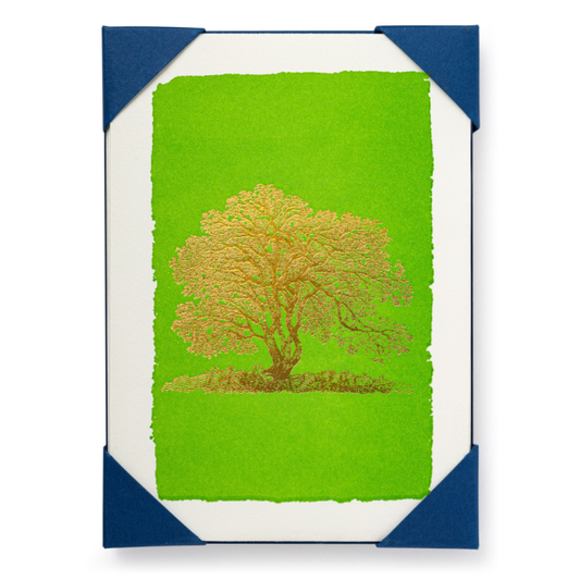 Tree Note Cards