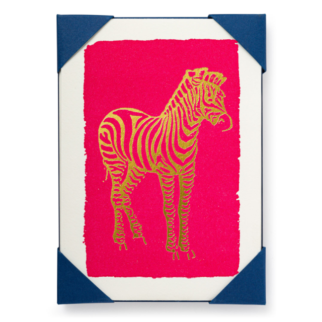 Zebra Note Cards - (Pack of 5)